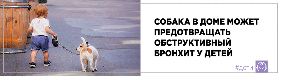 Собака в доме может предотвращать обструктивный бронхит у детей