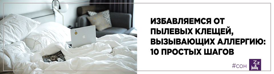 Избавляемся от пылевых клещей, вызывающих аллергию: 10 простых шагов