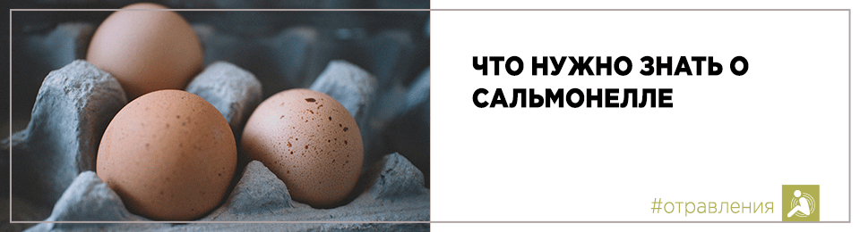 Что нужно знать о сальмонелле