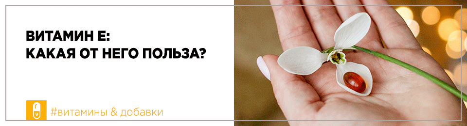 Витамин Е: какая от него польза?