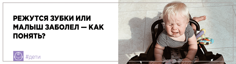 Режутся зубки или малыш заболел — как понять?