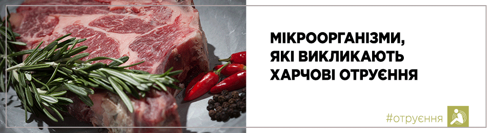 Мікроорганізми, які викликають харчові отруєння