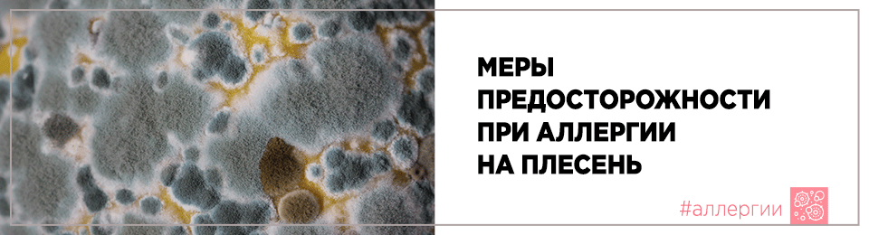 Меры предосторожности при аллергии на плесень