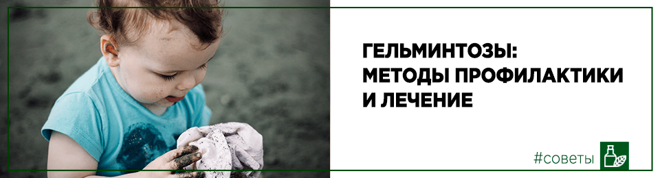 Гельминтозы: методы профилактики и лечение