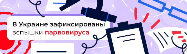В Украине зафиксированы вспышки парвовируса