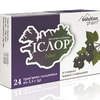 Іслор льодян. зі смаком чорної смородини №24 Solution pharn
