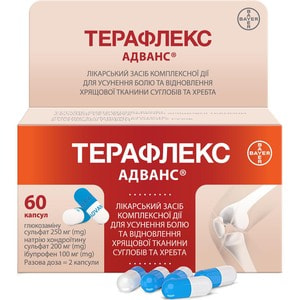 Терафлекс Адванс капс. №60
